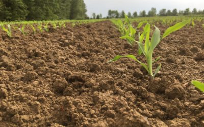 CAMBIAMENTI CLIMATICI E AGRICOLTURA DIGITALE, CONFAI MANTOVA: “NIENTE FUTURO SENZA LE AZIENDE AGROMECCANICHE”